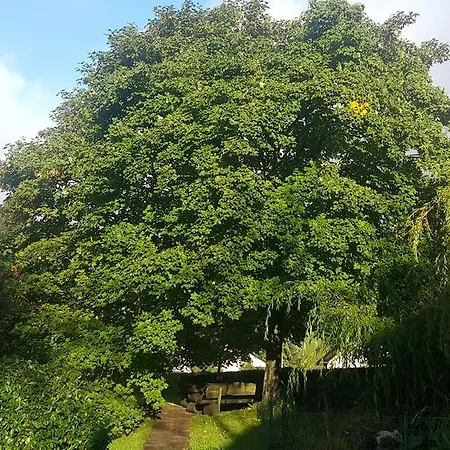 Trojane, Inspiration Of The Green Retreat Hotel Trojane